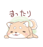 豆しば犬 しばわん 日常で使える（個別スタンプ：23）