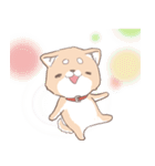 豆しば犬 しばわん 日常で使える（個別スタンプ：24）