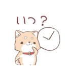 豆しば犬 しばわん 日常で使える（個別スタンプ：25）