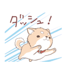 豆しば犬 しばわん 日常で使える（個別スタンプ：26）