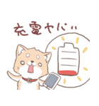 豆しば犬 しばわん 日常で使える（個別スタンプ：27）