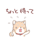 豆しば犬 しばわん 日常で使える（個別スタンプ：28）