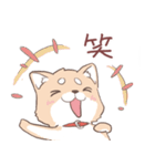 豆しば犬 しばわん 日常で使える（個別スタンプ：29）