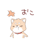 豆しば犬 しばわん 日常で使える（個別スタンプ：30）