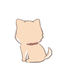 豆しば犬 しばわん 日常で使える（個別スタンプ：33）