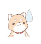 豆しば犬 しばわん 日常で使える（個別スタンプ：35）