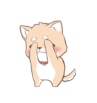 豆しば犬 しばわん 日常で使える（個別スタンプ：36）