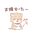 豆しば犬 しばわん 日常で使える（個別スタンプ：38）
