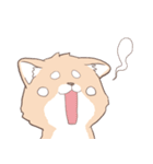 豆しば犬 しばわん 日常で使える（個別スタンプ：39）