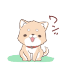 豆しば犬 しばわん 日常で使える（個別スタンプ：40）