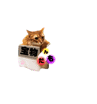アポレオン（個別スタンプ：6）