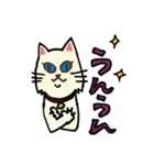 お絵描きすずめの猫スタンプ その1（個別スタンプ：13）