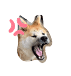 アランとこはる（個別スタンプ：6）