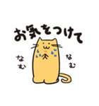 むちねこ【日常編】（個別スタンプ：12）