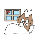 ねこのじゅん（個別スタンプ：1）