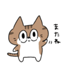 ねこのじゅん（個別スタンプ：17）