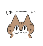 ねこのじゅん（個別スタンプ：19）