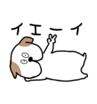 ワンダーさん日常の相槌バージョン（個別スタンプ：6）
