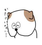 ワンダーさん日常の相槌バージョン（個別スタンプ：10）
