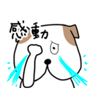 ワンダーさん日常の相槌バージョン（個別スタンプ：11）