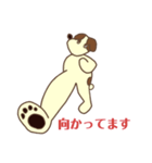 ジャックラッセルテリア<日常>（個別スタンプ：7）
