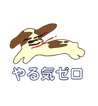 ジャックラッセルテリア<日常>（個別スタンプ：22）