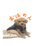 unknown KEDAMA 2（個別スタンプ：4）