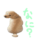 unknown KEDAMA 2（個別スタンプ：7）