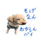 unknown KEDAMA 2（個別スタンプ：8）