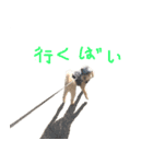 unknown KEDAMA 2（個別スタンプ：9）
