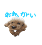 unknown KEDAMA 2（個別スタンプ：11）