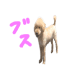 unknown KEDAMA 2（個別スタンプ：13）