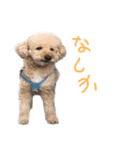 unknown KEDAMA 2（個別スタンプ：15）