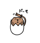 カピバラ×玉子の「かぴたま」スタンプ（個別スタンプ：2）
