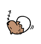 カピバラ×玉子の「かぴたま」スタンプ（個別スタンプ：6）