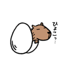 カピバラ×玉子の「かぴたま」スタンプ（個別スタンプ：8）