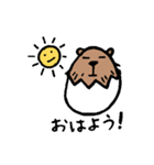 カピバラ×玉子の「かぴたま」スタンプ（個別スタンプ：10）