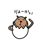 カピバラ×玉子の「かぴたま」スタンプ（個別スタンプ：13）