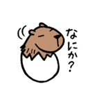 カピバラ×玉子の「かぴたま」スタンプ（個別スタンプ：17）