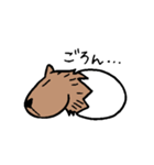 カピバラ×玉子の「かぴたま」スタンプ（個別スタンプ：21）