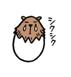 カピバラ×玉子の「かぴたま」スタンプ（個別スタンプ：25）