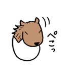 カピバラ×玉子の「かぴたま」スタンプ（個別スタンプ：31）