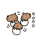 カピバラ×玉子の「かぴたま」スタンプ（個別スタンプ：37）
