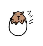 カピバラ×玉子の「かぴたま」スタンプ（個別スタンプ：40）