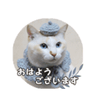 はくちゃんからのごあいさつ R（個別スタンプ：1）
