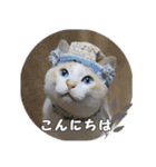 はくちゃんからのごあいさつ R（個別スタンプ：2）