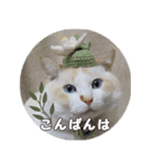 はくちゃんからのごあいさつ R（個別スタンプ：3）