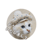 はくちゃんからのごあいさつ R（個別スタンプ：21）