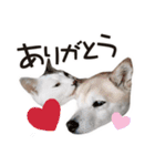なかよし茶々福（個別スタンプ：2）