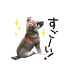 なかよし茶々福（個別スタンプ：5）